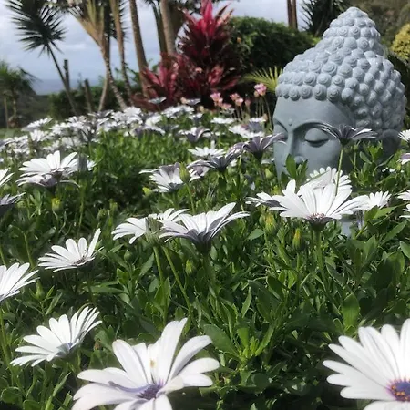 In Bb - Guest Buddha